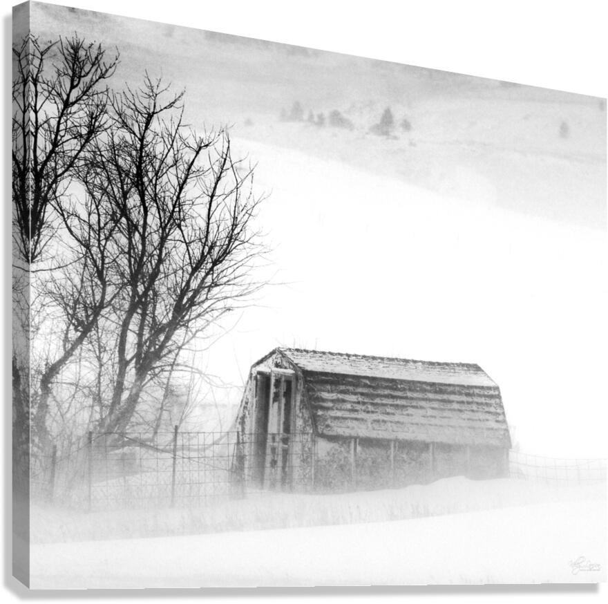Winter Day Canvas Print