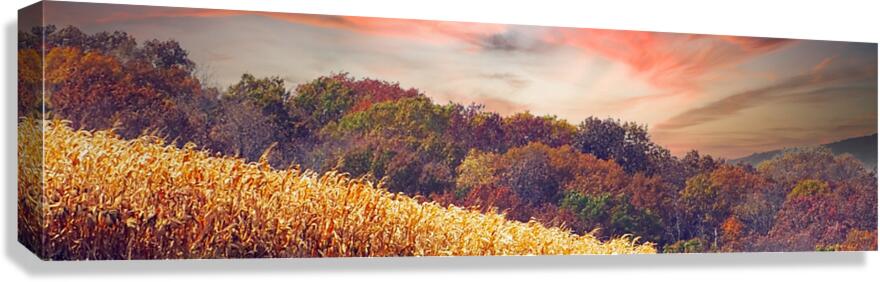 Farmland Fall Canvas Print