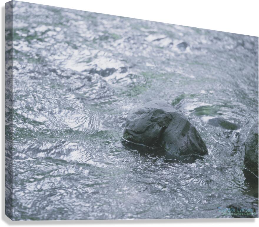 Like a Rock Canvas Print