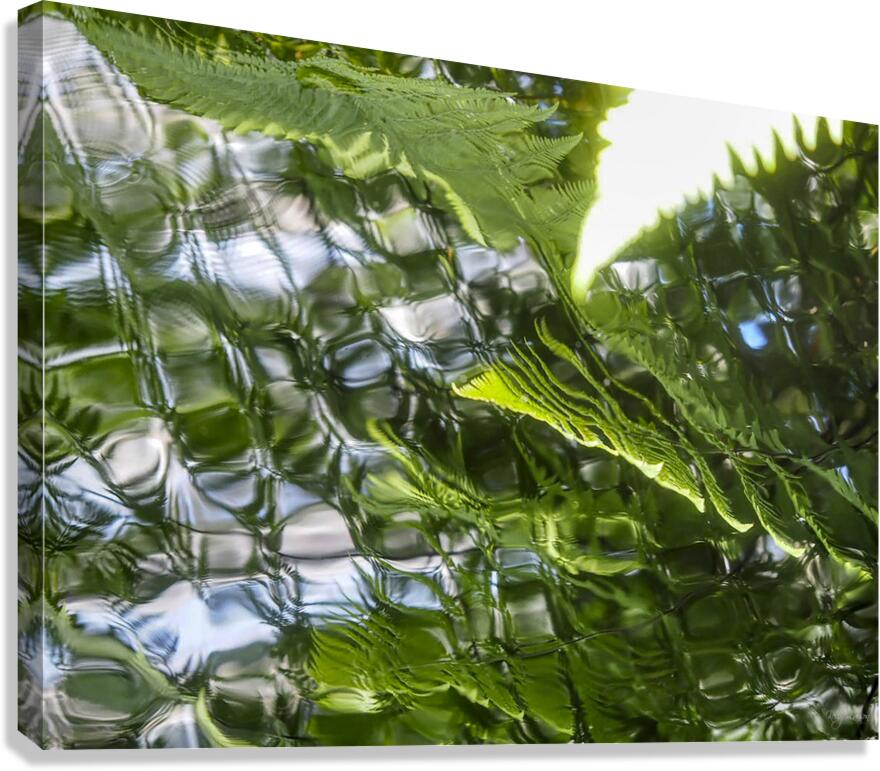 Water Reflections Canvas Print