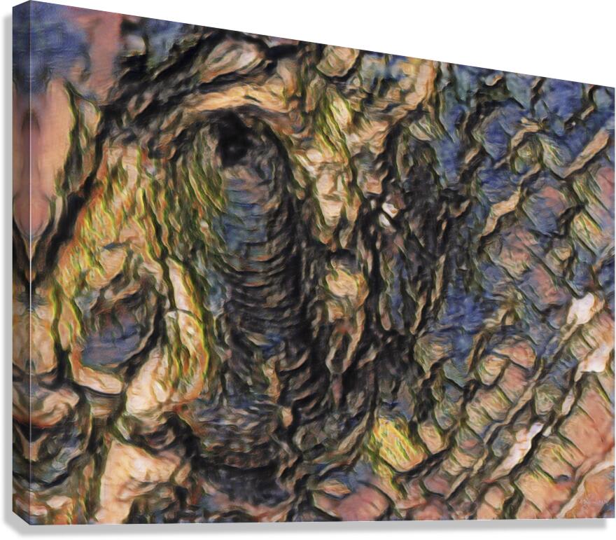 Tree Bark II Canvas Print