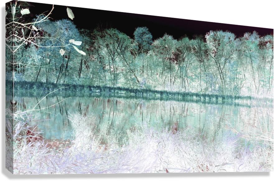 Crystal Forest Canvas Print