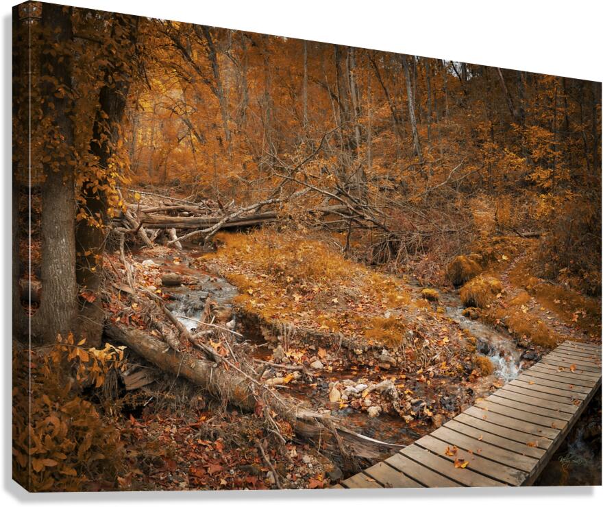 Plank Crossing Canvas Print