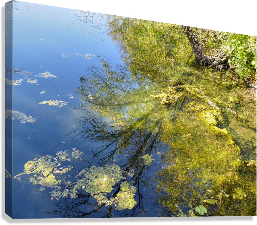 Glitter Reflections Canvas Print