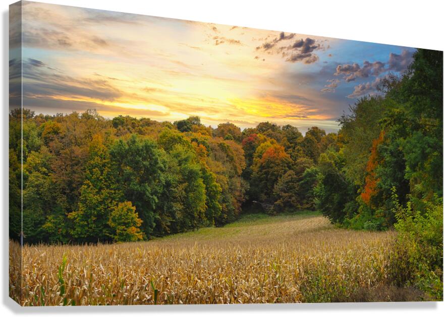 Fall Feilds Canvas Print