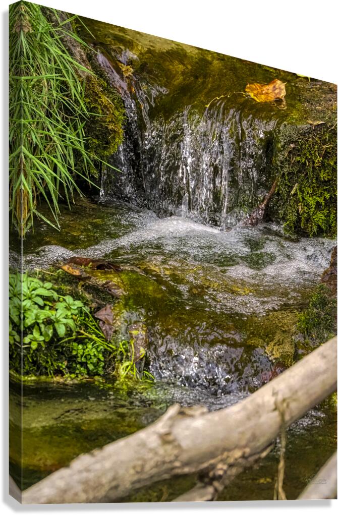 Babling Brook Canvas Print