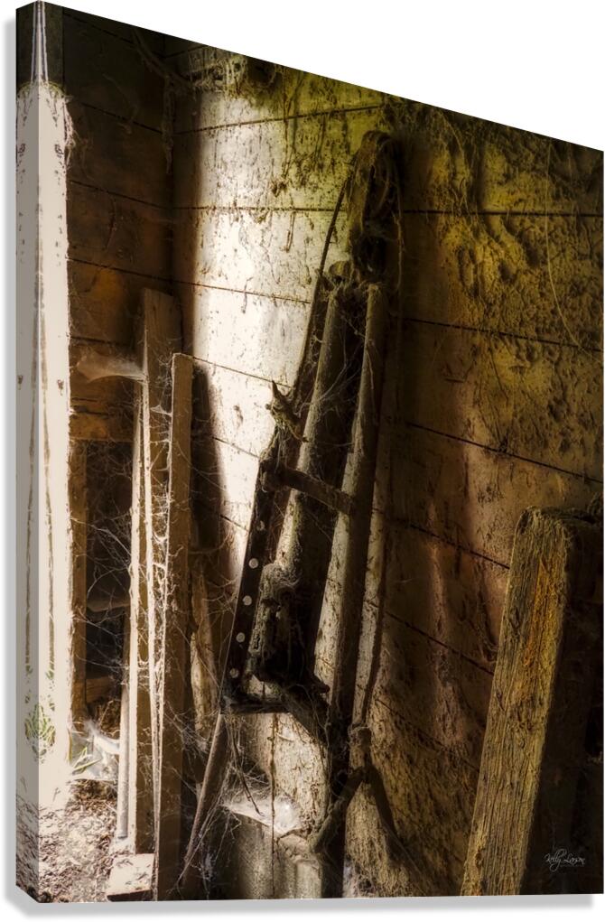 Webs and Parts Canvas Print