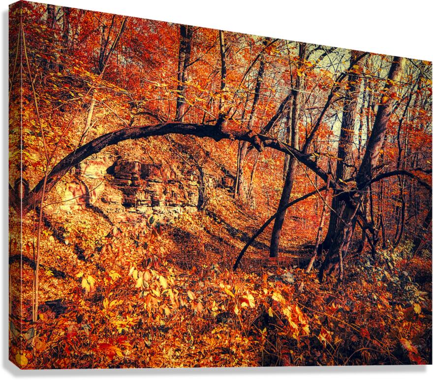 Hypermode Fall Canvas Print
