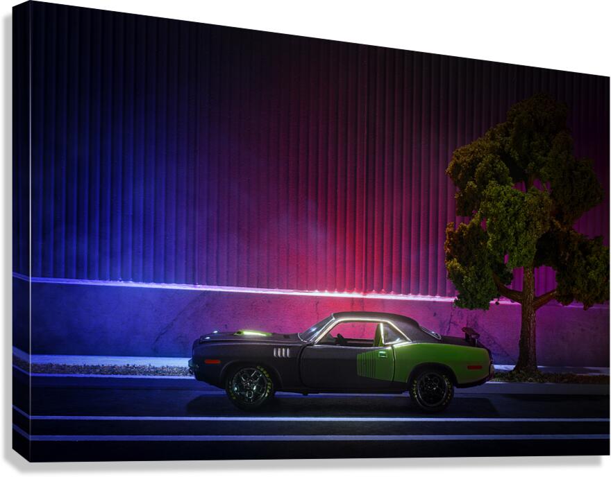 Spotted   Canvas Print
