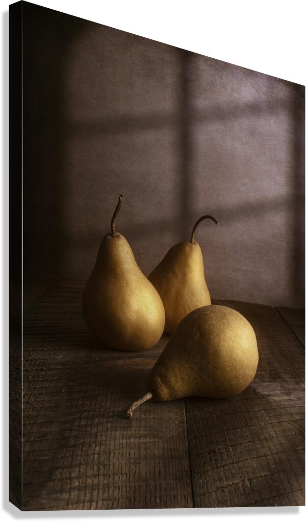 Pears Canvas Print