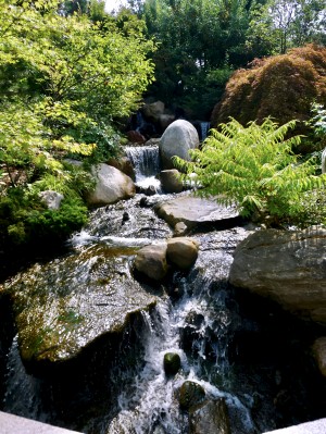 Energy
