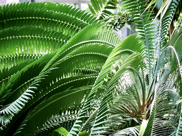 Reaching Print