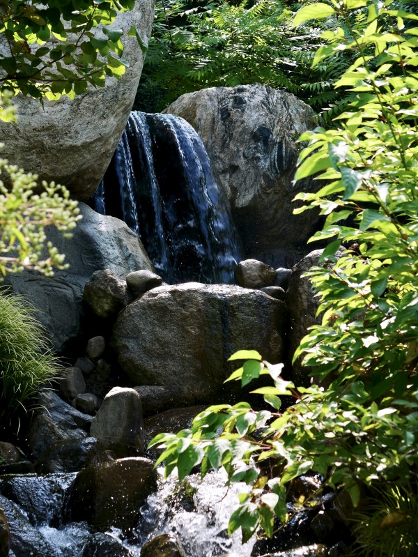 Shaded Waterfall Print