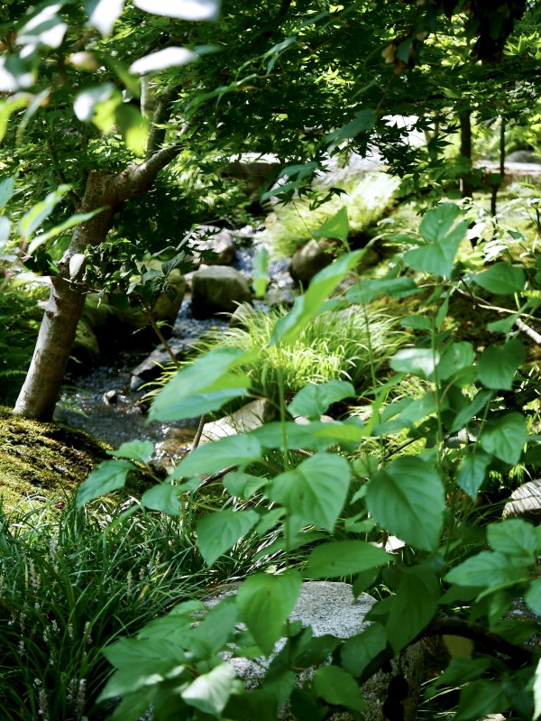 Waterfall Beyond Print