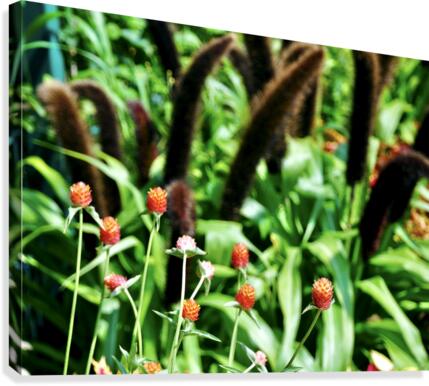 Ornament Canvas Print