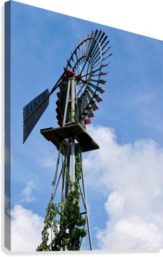 Farm Windmill Canvas Print