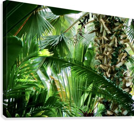 Tropical Textures Canvas Print