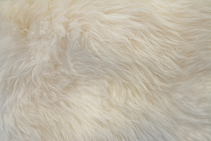  Delicate white fur background