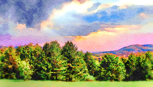 Picturesque forest landscape in the mountains