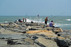 Fishing on the Rocks