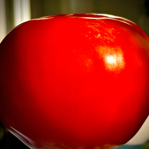 Tomato Tomahto Tomayto