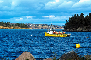 Boat of Buoys in Lubec Harbor
