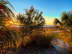 Jekyll Island Sunrise