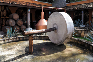 Agave Press Tequila Cozumel