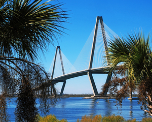 Arthur Ravenel Jr. Bridge in the Palms 088