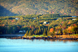 Bar Harbor Fall Foliage 0305