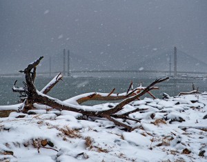Indian River Bridge with Driftwood and Snow