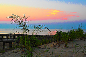 Dune Grass Expressionism at Dawn