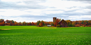 Farm and Fall Foliage Panorama