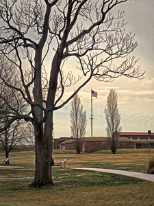 Fort McHenry Flag View through the Trees