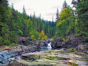 Lake McDonald Falls 