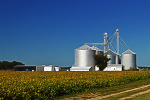 Grain Elevator on Starr Road