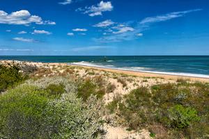 Indian River Inlet Dunes and Beach