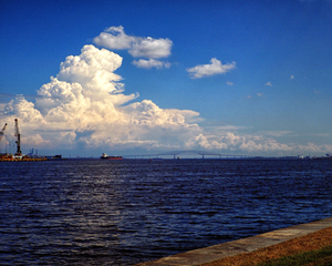 Francis Scott Key Bridge Baltimore Outer Harbor from Fort McHenry