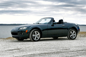 Miata Under the Brush at Assateague Island