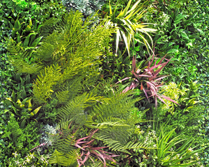 Green Wall Detail Myrtle Beach Tin Roof Detail