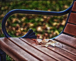 Park Bench w Brown Leaf