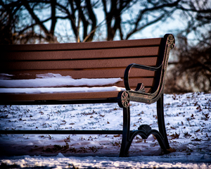 Snowy Bench in Baltimores Riverside Park