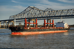 Ship Seas 1 Bulk Carrier 9589085