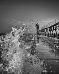 South Haven Light Splash Black and White