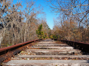 Waccamaw Coast Line Railroad Tracks 099