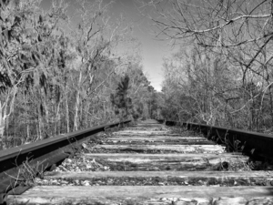 Waccamaw Coast Line Railroad Tracks Monochrome 099