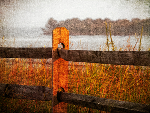 Non-Political Post - A Fence Post on Simulated Canvas