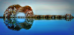 Acoustic Guitar in the Trees at Gordons Pond