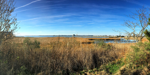 Ocean City Marsh and Pier Panorama
