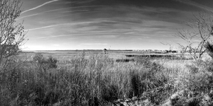 Ocean City Marsh and Pier Panorama in Black and White